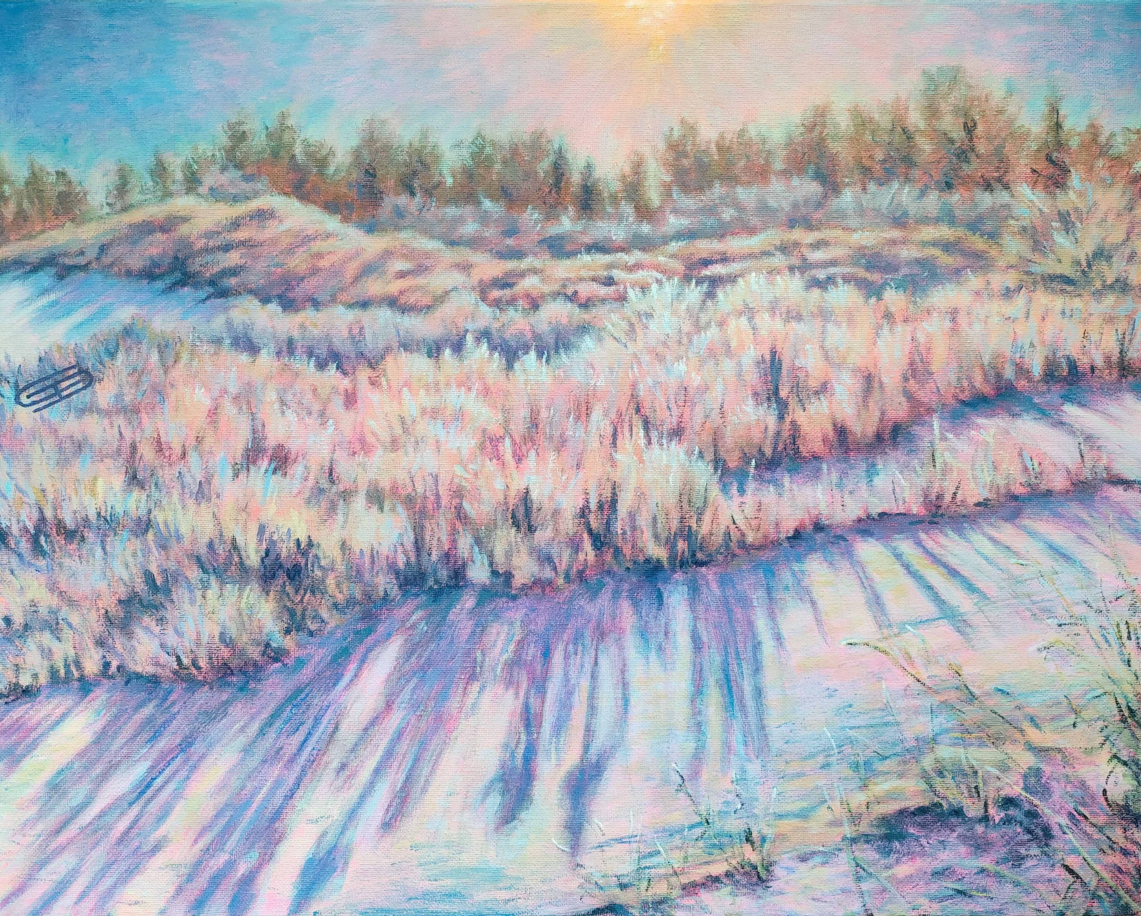 Christian Dittenhoffer