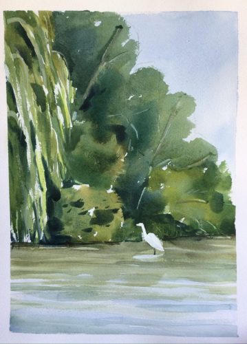 Christine-Campbell Sentinel