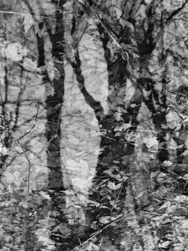 JIm-Blomfield-image-1