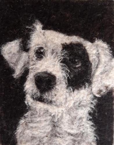 JOsborn Sparrow felt