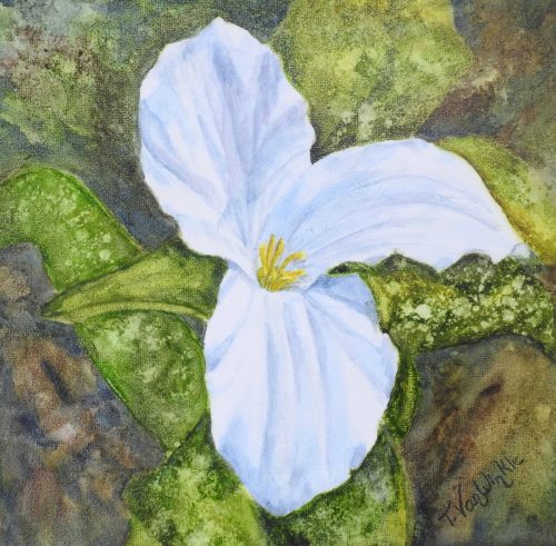 Tiiu-VanWinckle-Trillium-Image-2