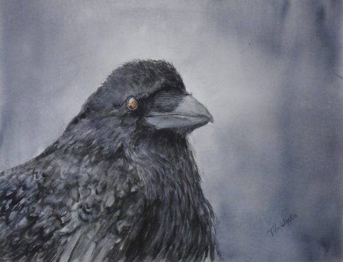 Tiiu-VanWinckle-Where-the-raven-flies (1)