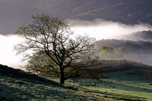 Wayne-Richardson-PERTHI-DAWN